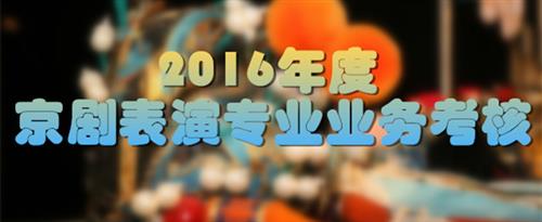 jb欧美插草国家京剧院2016年度京剧表演专业业务考...